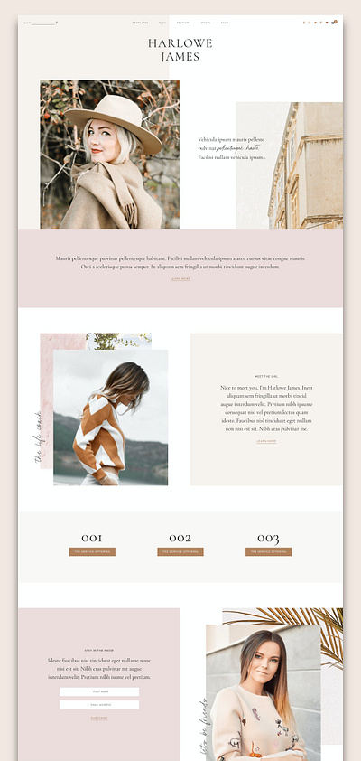 Harlowe: Blog & Shop WordPress Theme app branding design landing page theme ui web webdesign website wordpress