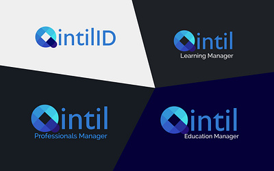 Qintil2