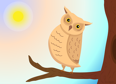 Owl illustration illustration owl owl illustration vector