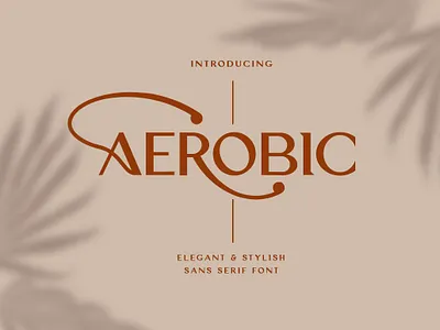 Aerobic Font branding fonts classic decorative elegant elegants font energic font font pairing luxury retro roman fonts stylist