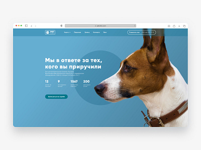 Veterinary clinic design dog figma ui ux veterinary web webdesign