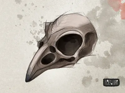 Skull. Digital illustration art artwork bird bird skull crow crow skull death digital digital art digital illustration digital painting illustration sketch sketches skull skull art skull logo skull skethes stickers symbol
