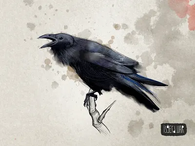 Raven. Digital illustration animal animal art animal logo art artwork bird crow digital digital art digital arts digital painting halloween halloween art illustration raven raven art