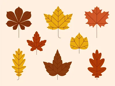 Autumn Leaves 2d autumn chestnut fall flat foliage illustration leaf leaves maple oak plant