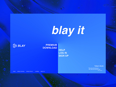 Blay Web adobe illustrator blue design figma figma design figmadesign flat landing page design landingpage minimal music music app ui ui ux ui design uidesign uiux web webdesign website design