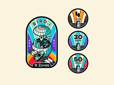 Birdi - Badge & Pins badge data patch satellite sct space usa