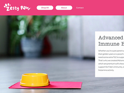 Zesty Paws Nav Test animation cat dog dropdown dropdown menu menu bar nav navigation navigation bar navigation menu rollover ui ux video website