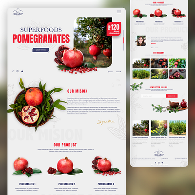 Introduction to Pomegranate Farm app brand design homepage interface responsive ui ux web website design