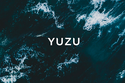 YUZU branding branding and identity branding design design el salvador restaurant restaurant logo vector