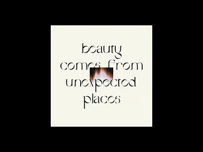 Beauty Quote typo poster typographic typography art typography design