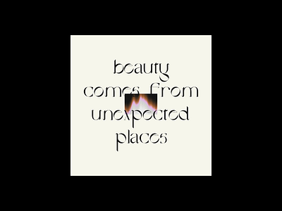 Beauty Quote typo poster typographic typography art typography design