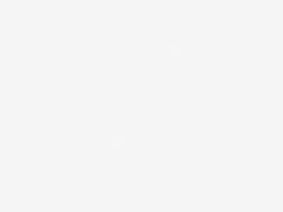 Meet Agency Habitat 2d animation agency agency branding animation brand identity brand launch branding dallas design geometric design illustration logo logo animation neutrals personal branding playful typography