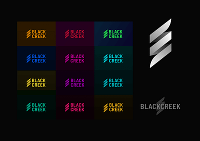 Blackcreek Rebrand agency branding design dna graphic design health icon illustration logo rebrand vector