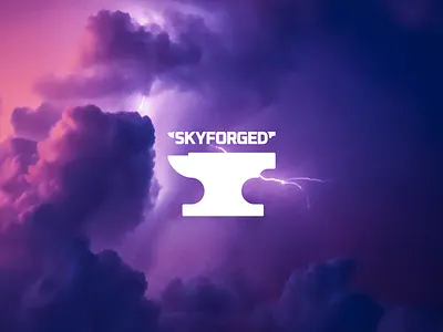 Branding for software startup branding digital illustration logo masculine tech typography vector web web apps