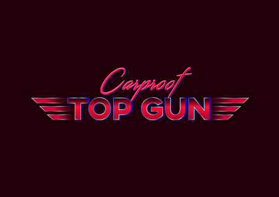 Top Gun Branding & Booklet 80s branding design graphic design illustration logo typography vector