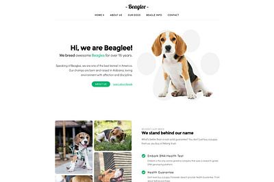 Kariboo Kennel -WP Dog Breeder branding design landing page theme web web design website wordpress