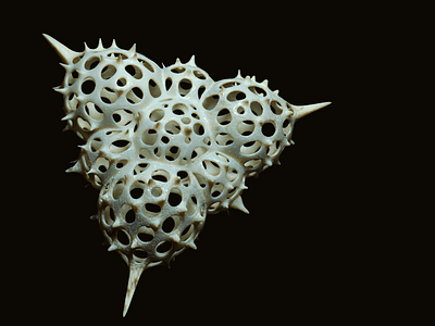 Radiolaria 3D