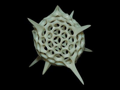 Radiolaria 3D