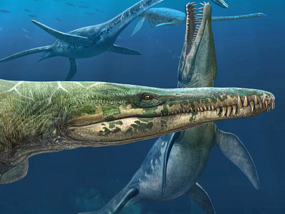 Kronosaurus queenslandicus 3d bio illustration paleo science sea