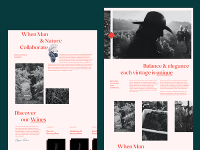 Vineyard - Landing Page Exploration branding clean concept design landing page minimal redesign typography ui