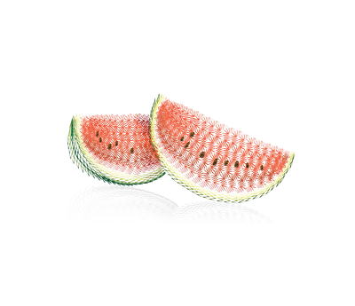 2pieces watermelon png design fruit fruit illustration illustration summer vector watermelon watermelon design zigzag