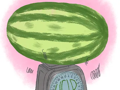 Record Breaking Watermelon foodie fruit humor illustration spot illustration walshwork