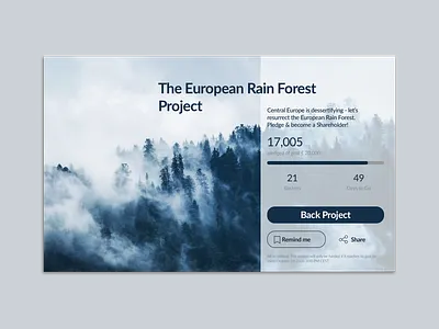 UI Challenge Day32 CrowdFunding Page 100dayschallenge dailyui dailyuichallenge ui userinterface uxui