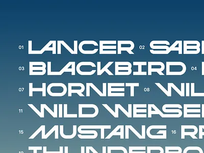 INDE - Type customtype motorsports racing speed