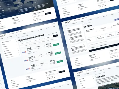 Boryspil Airport - concept redesign website design figma interaction interface tools ui webdesign websites