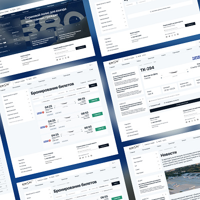 Boryspil Airport - concept redesign website design figma interaction interface tools ui webdesign websites