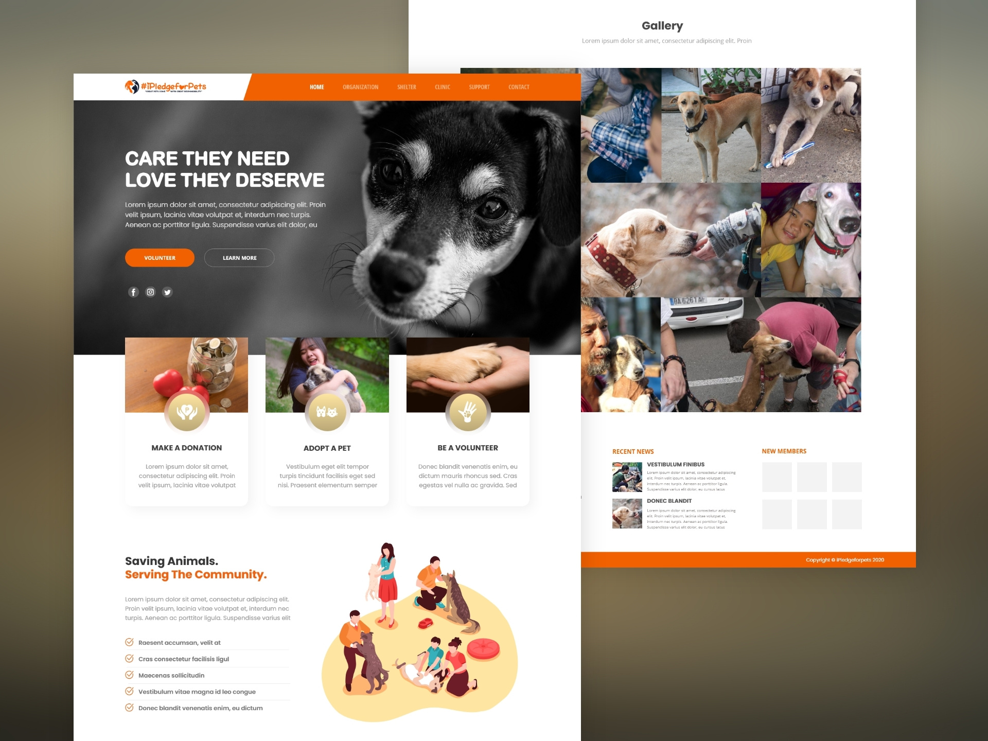 Example of Animal Rescue
