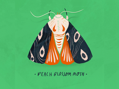 Peach Blossom Moth botanical botanical illustration bug color garden gardening green greenery insect moth nature procreate stamp