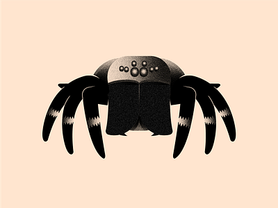 Vectober 31 - Crawl 2d black color crawl eyes flat illustration illustrator inktober inktober2020 shadows spider tarantula texture vectober white