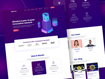 Bitodex - Crypto Landing Page admin application branding crypto cryptocurrency design illustration landing logo page template ui uiux ux uxdesign