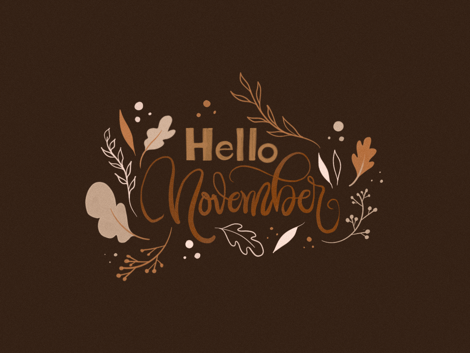 Hello November! adobe photoshop branding gif illustration lettering lettering animation lettering art logo november procreate vector visual identity