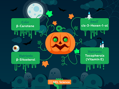 Chemistry of pumpkin — Happy Halloween ghost graveyard halloween illustration moon pumpkin spooky vector