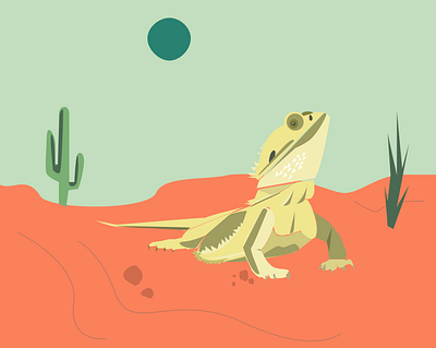 Dribbble Shot HD 1 1 australia bearded dragon design dragon drawing flat illustraion vector