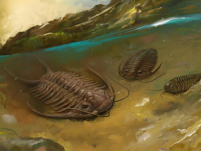 Trilobita bio illustration paleo science sea