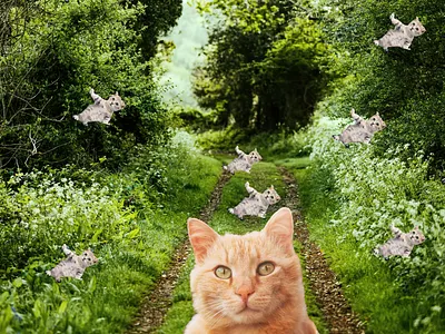 Cat Cat Cat cat collage design forest graphicart graphicdesign photoshop
