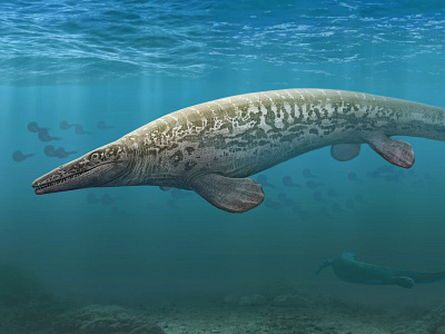 Tylosaurus 3d bio illustration paleo science sea