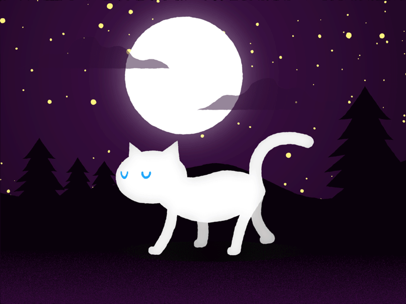 White Cat after effects aftereffects animal animation animation 2d cat cats dusk flat art halloween hellodribbble illustration illustrations illustrator kitten motion design motion graphics motiondesign night pet