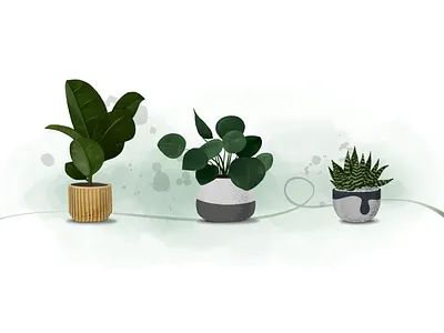 Plants illustration indoor plant plant illustration planter plants