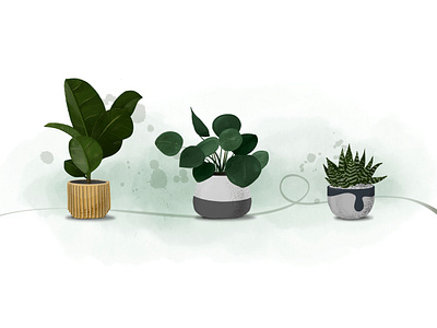 Plants illustration indoor plant plant illustration planter plants