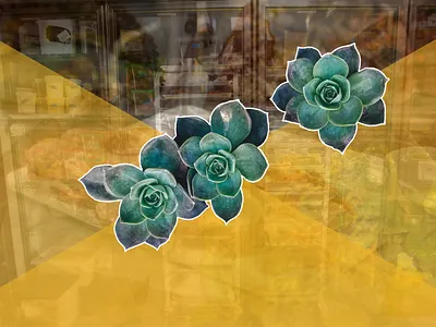 Food Overlap photography vector vector art yellow