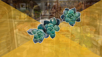 Food Overlap photography vector vector art yellow