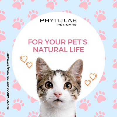 Phytolab Pet Care Social Media Post graphic design landing page social media post ux vector