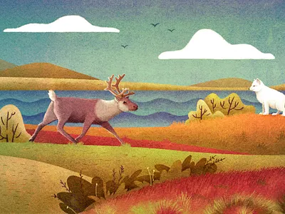 Russia artic fox deer illustration nature russia