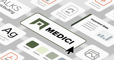 Medici Brand Assets branding illustration web design