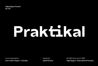 TG Praktikal Sans advertising branding design elegant font font family fonts collection geometric geometric font headline lettering logo modern poster retro sans serif serif type design typography vintage