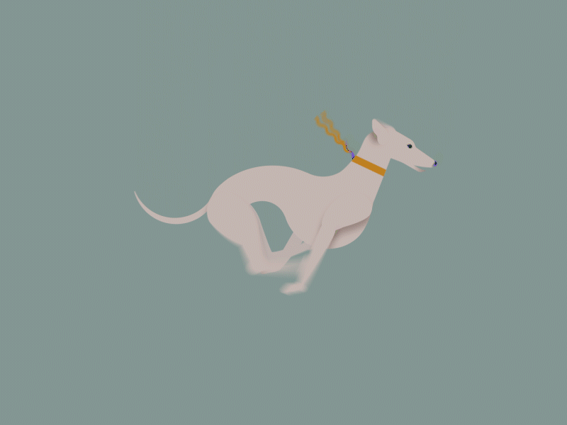 25. Buddy aftereffects animatedillustration animation balls dog greyhound illustration inktober inktober2020 loop loopvideo mograph motiongraphics run running vectober vectober2020 vectorart